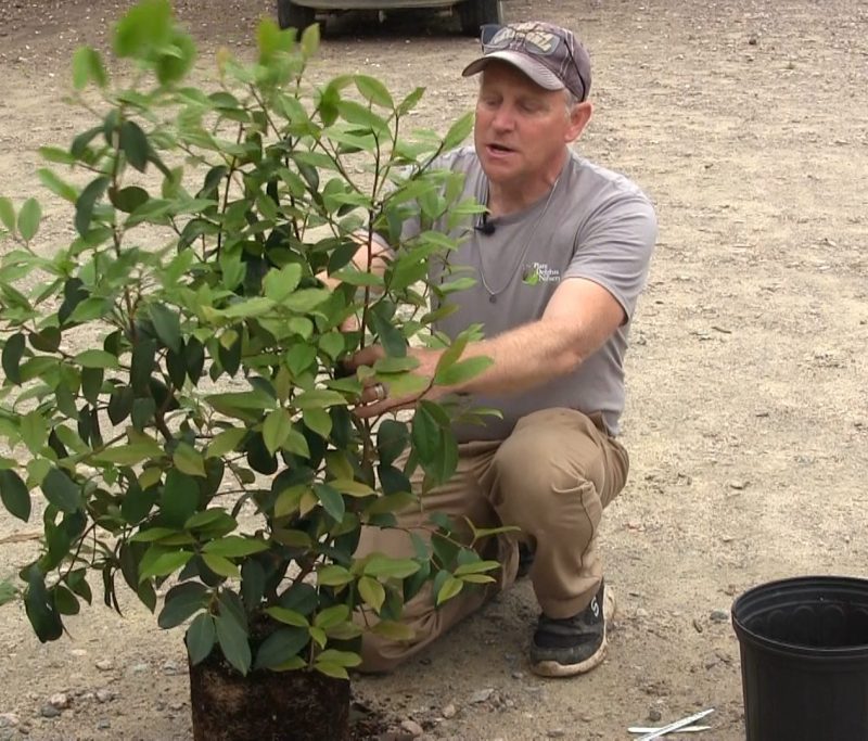 Gardening unplugged demo