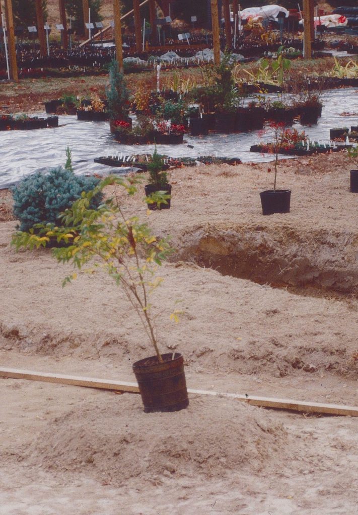 Garden bed planning, 1988