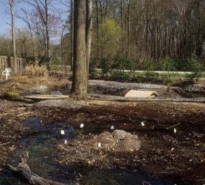Bog garden just planted, 1995