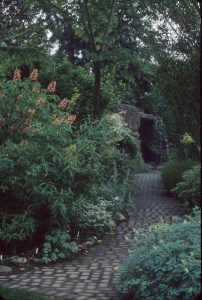 9241 Garden grotto path with Aesculus x carnea ‘Briotii’, 1999