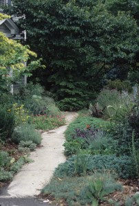 9241 Garden front walkway, 1999