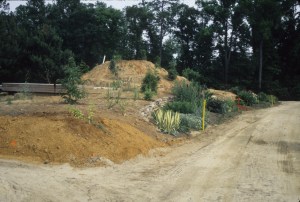 9249 drive toward Mt. Michelle just planted, 1999