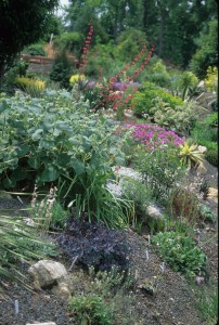 Alpine bed close-up, 2001