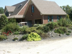 Alpine bed, Fall 2003