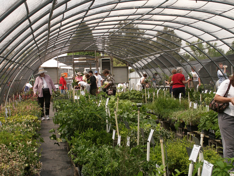 Customers shopping during Open Nursery and Garden days