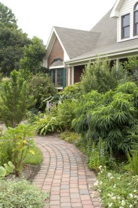 9249 front walkway planting , 2006