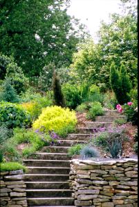 Retention pond steps after planting, 2006
