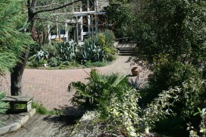 9249 garden from Mt. Michelle, 2007