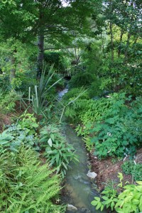 Plantings along Mystic Creek, 2007