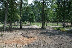 Souto Garden from north drive, 2008