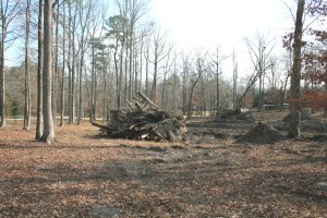 Souto Garden land graded, 2008