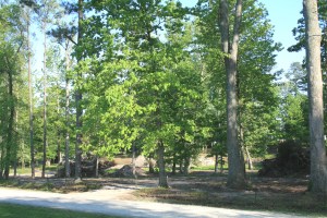 Souto Garden before construction, 2008