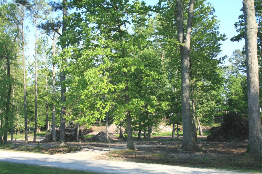 Souto park before construction, 2008