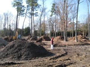 Souto Garden with compost piles of debris, 2009