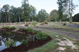 Souto Garden from East to West, 2010