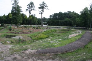 Souto Garden South toward Northeast, 2011