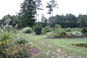 Souto Garden from West to North, 2012
