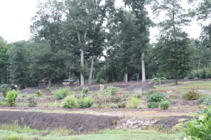 Souto Garden from West to Southeast, 2012