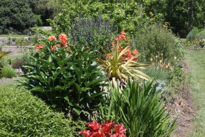 Souto garden in spring