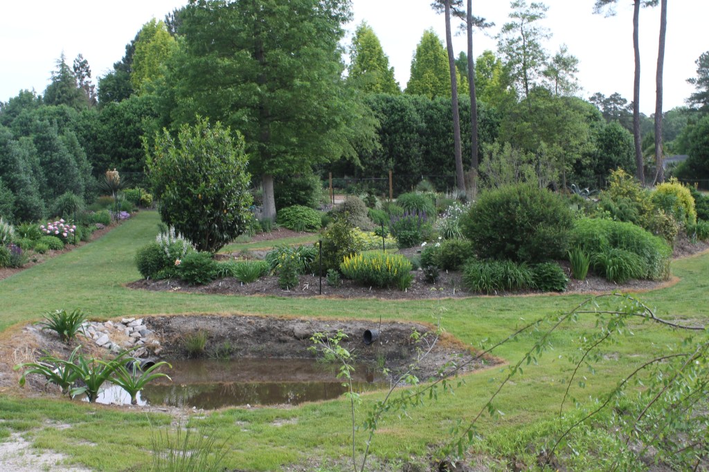 View of Souto garden towards north, 2015