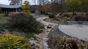 Patio stream in fall