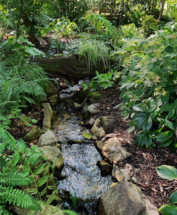 Woodland stream plantings photo