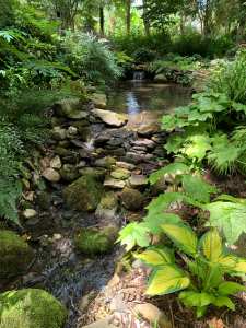 Woodland creek by the gazebo