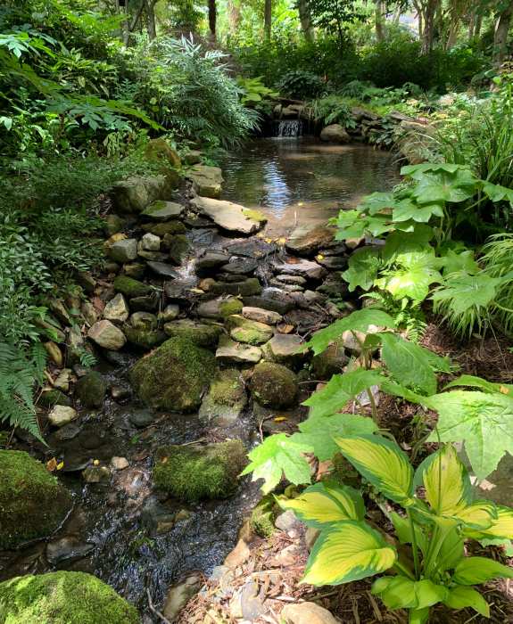 Gazeebo stream photo