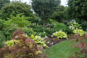 Garden view from garage toward crape myrtles, 2023