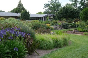 Back garden view, 2020
