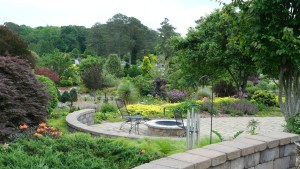 Patio garden east view