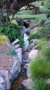 Garden stream by by Prunus 'Purple Pride', 2023