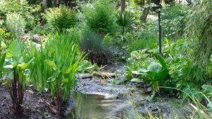 Perennial plantings along the stream