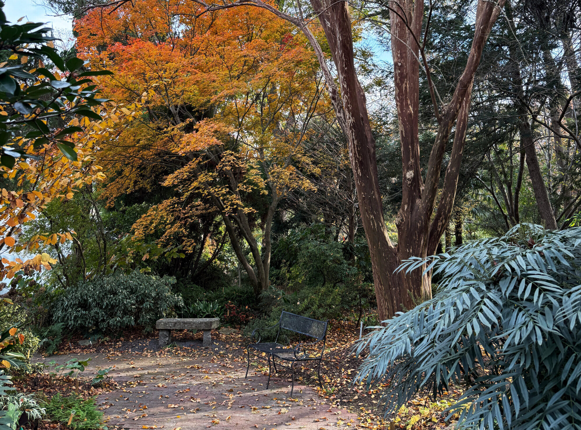 Founders garden in fall