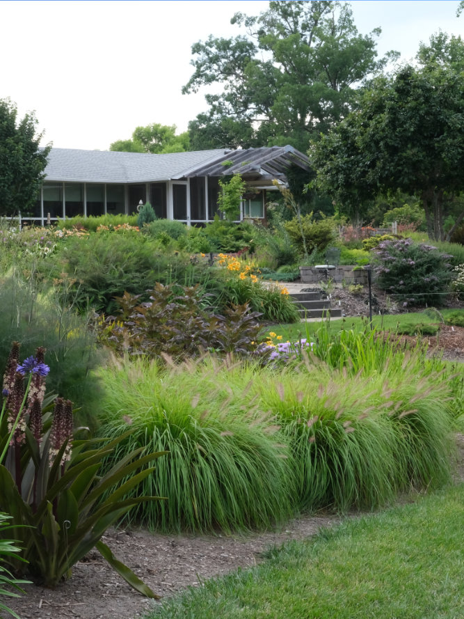 Anita's garden