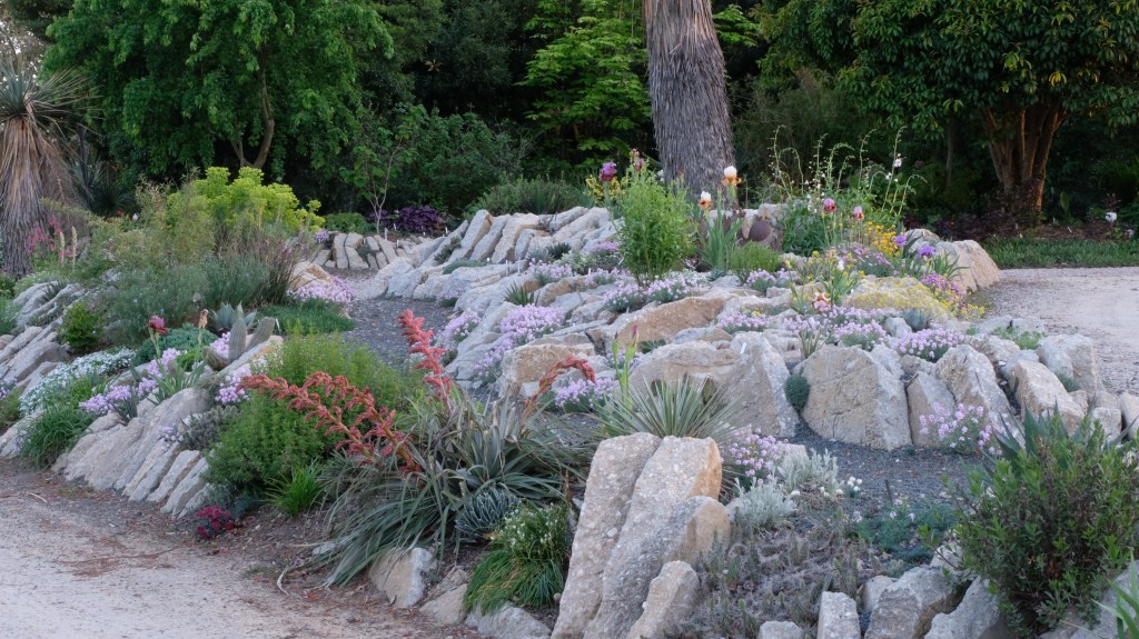 Crevice garden completed