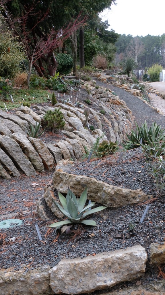Crevice garden south section towards north