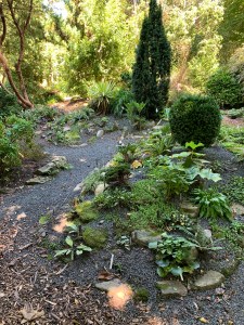 Miniature rock garden