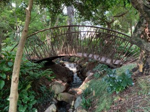 Cattail bridge over mystic creek