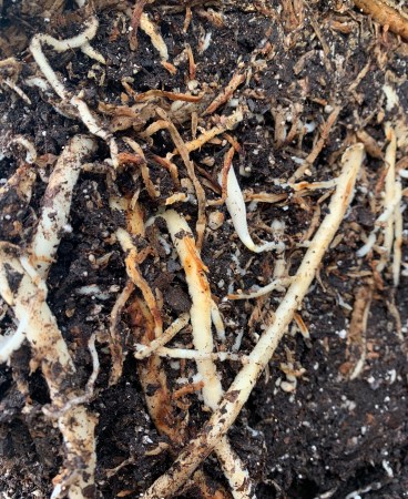 Soils class