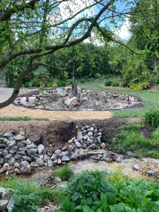 View of the rock bog from Planera aquatica ‘Falling Waters’