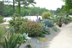 JLBG parking lot border garden beds in spring