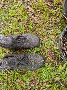 Muddy shoes