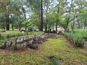 Extracting and documenting plants