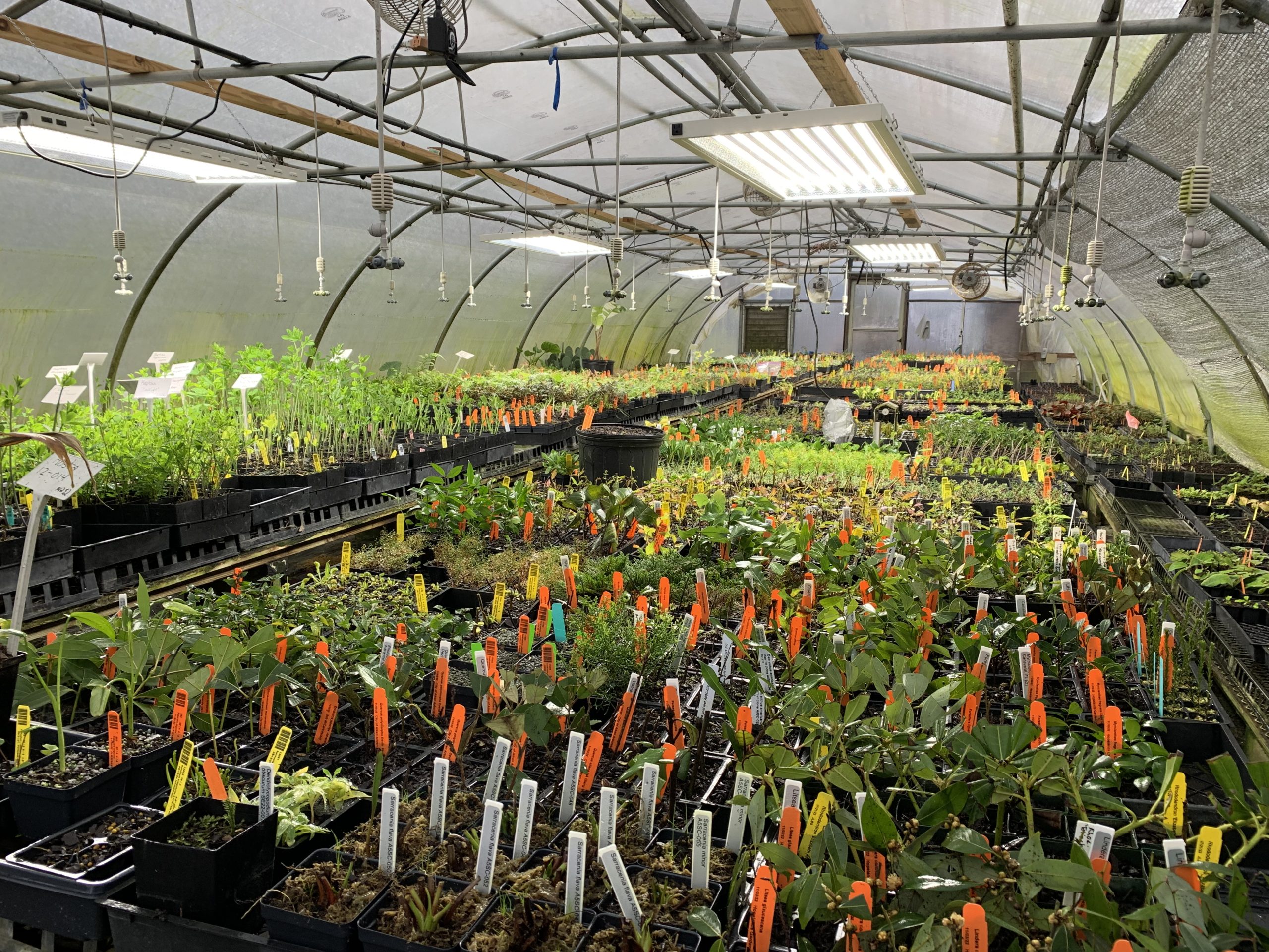 Propagation greenhouse