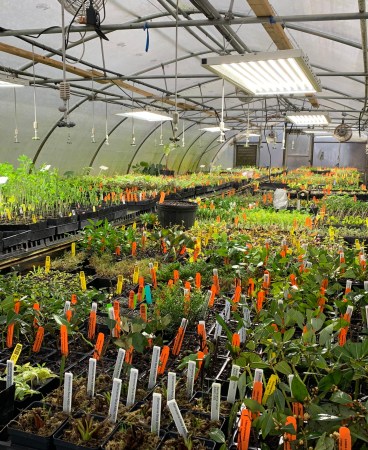 Propagation workshop