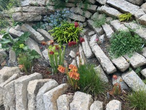 Crevice garden seep