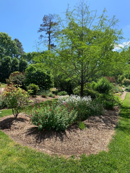 Souto garden beds