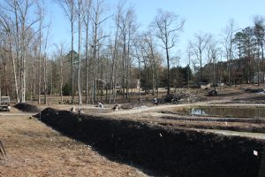 Souto Garden development, 2009