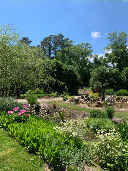 Rain gardens